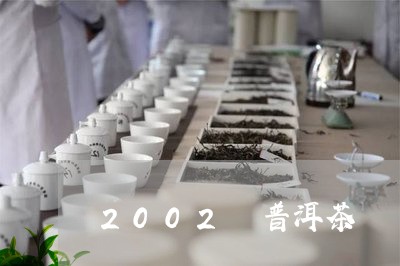 2002 普洱茶/2023031738380